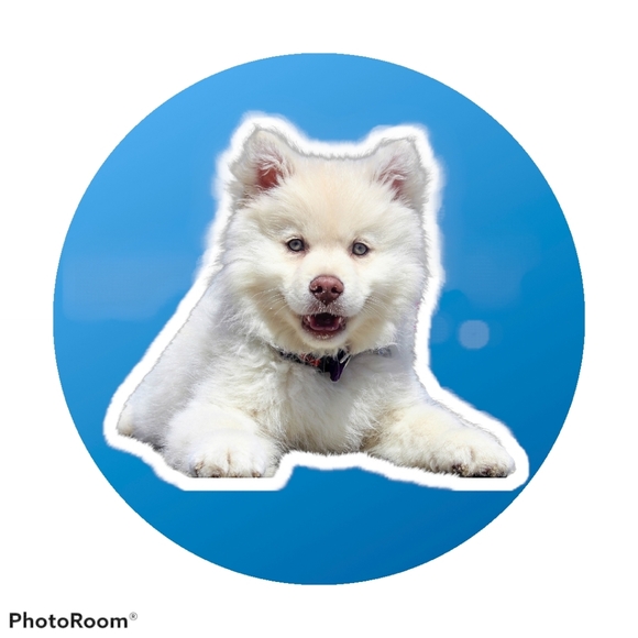 Meet your Posher, Rachelle - Picture 1 of 1